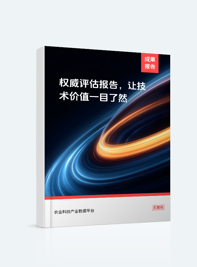 评估报告封面
